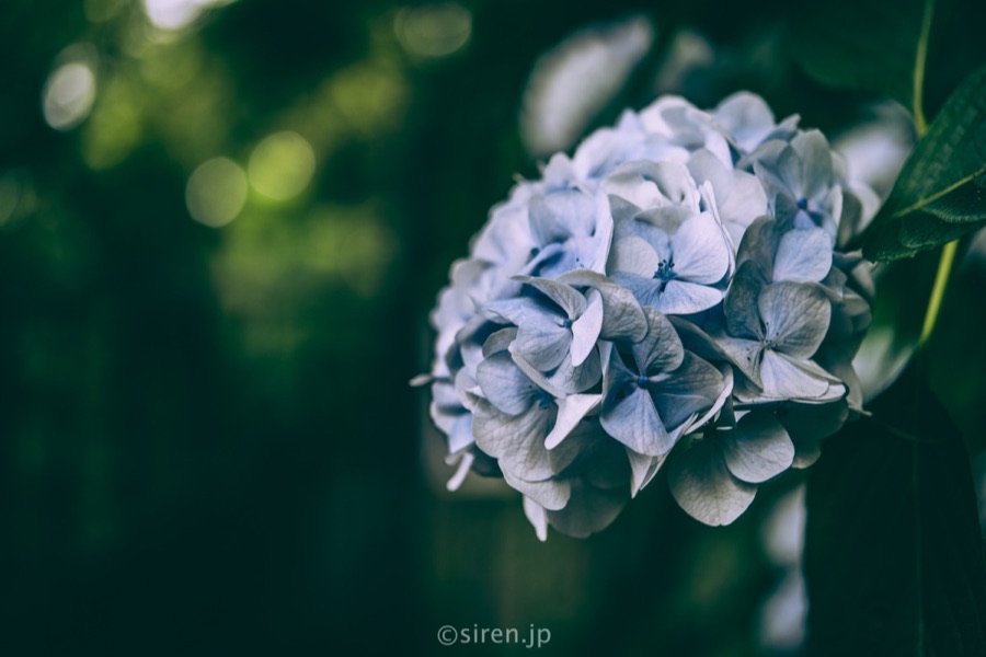 Series 01、写真 2 / 14