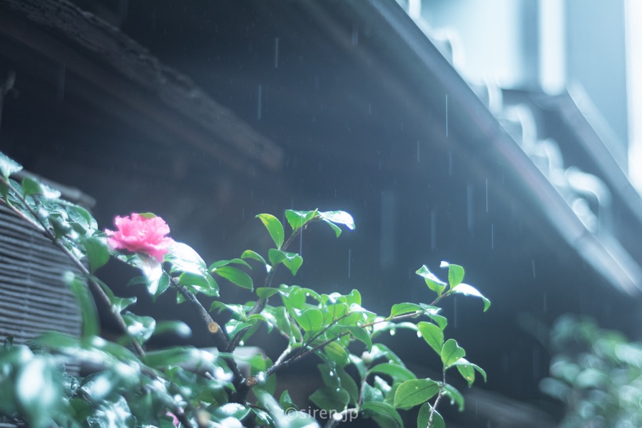 Series 01、写真 6 / 14