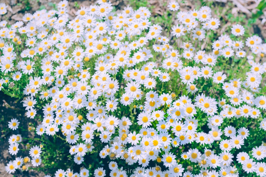 Series 01、写真 9 / 14