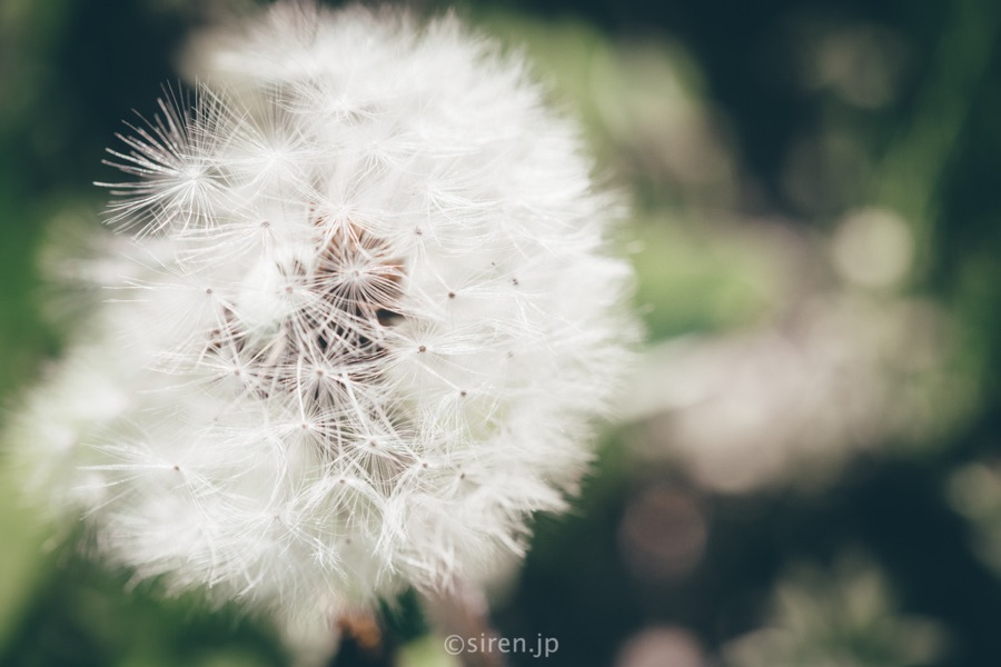 Series 01、写真 10 / 14