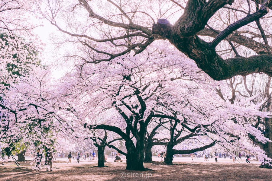 Series 02、写真 2 / 18
