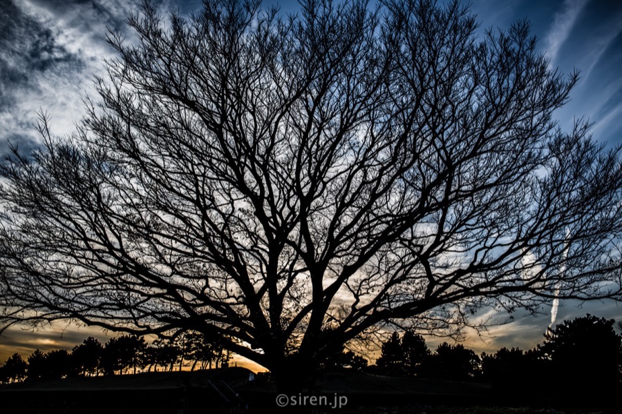 Series 02、写真 12 / 18