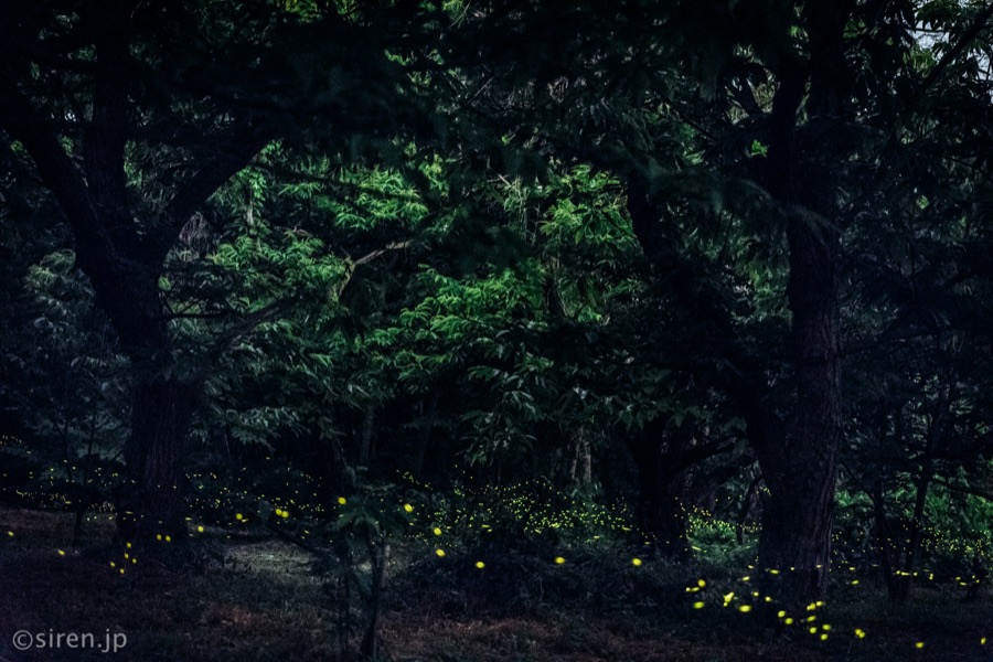 Series 02、写真 18 / 18