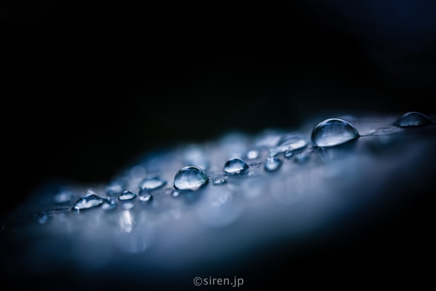 Series 02、写真 9 / 18