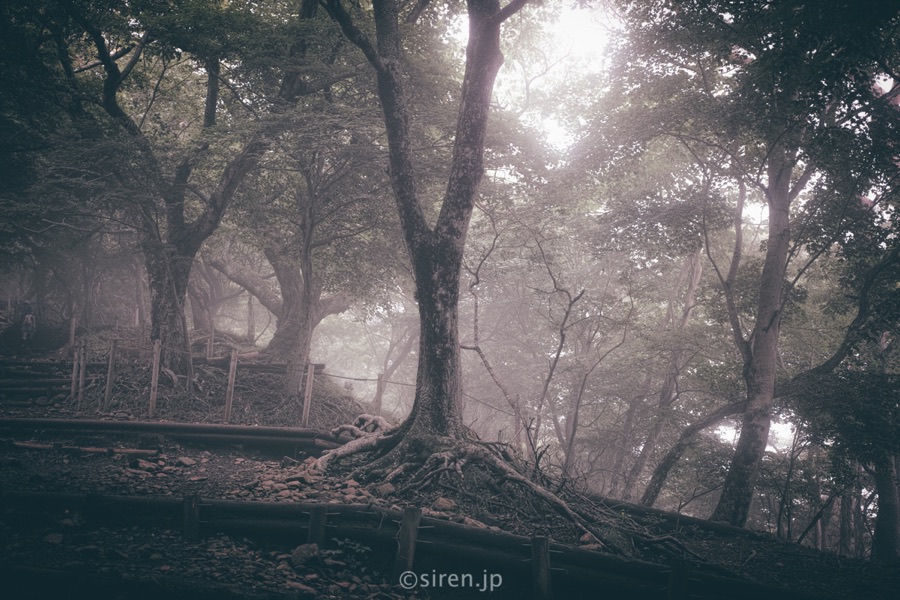 Series 03、写真 4 / 14
