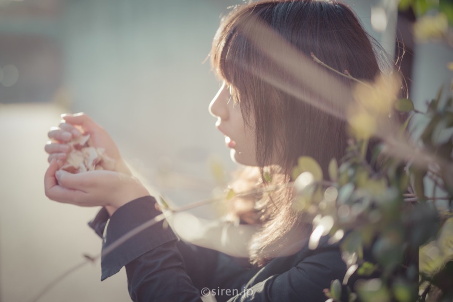 Series 04、写真 3 / 14