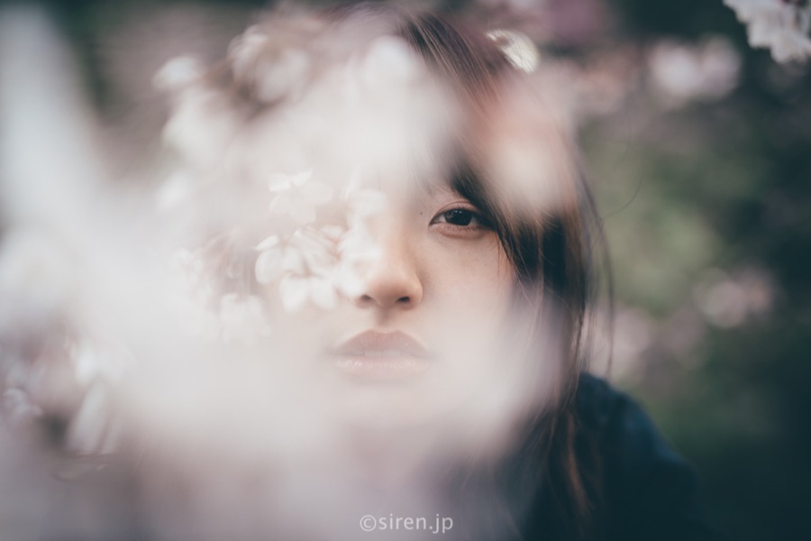 Series 04、写真 4 / 14