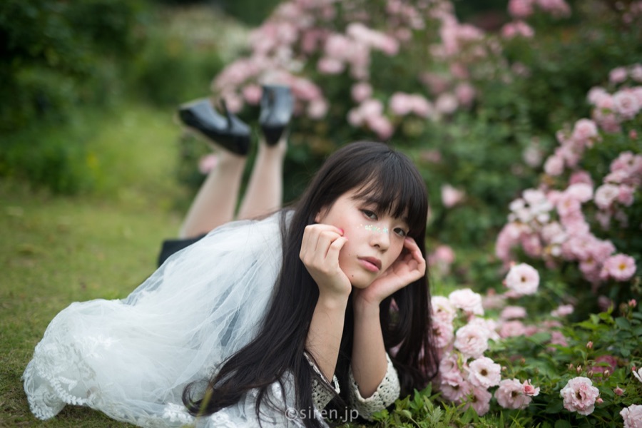 Series 05、写真 8 / 8